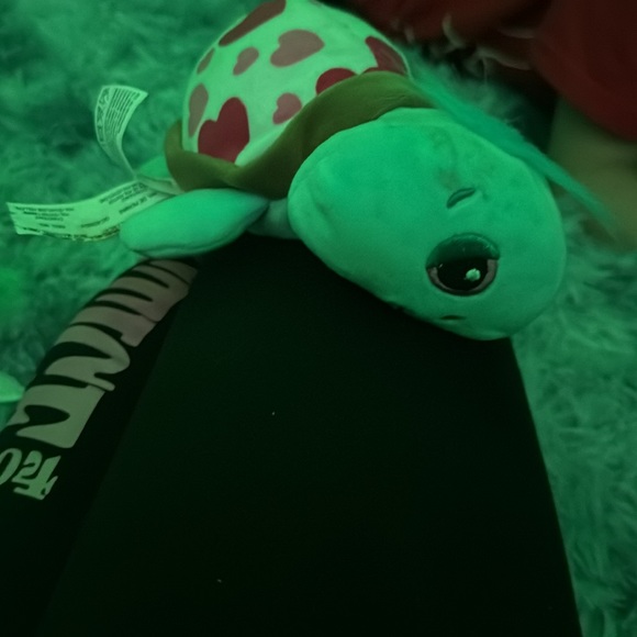 Turtle - Picture 5 of 8